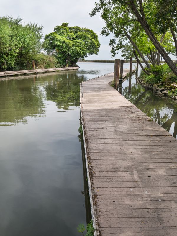 Local Water Dock Repair in Auburn Hills, MI