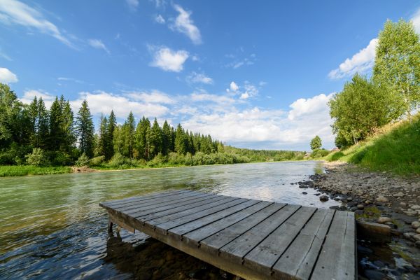 Pond Dock Construction Service